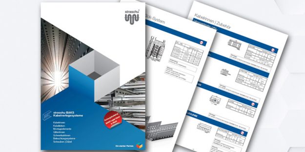 Ein Deckblatt und zwei Drucke eines Prospekts liegen vor einem hellen Hintergrund mit Wabenmuster.