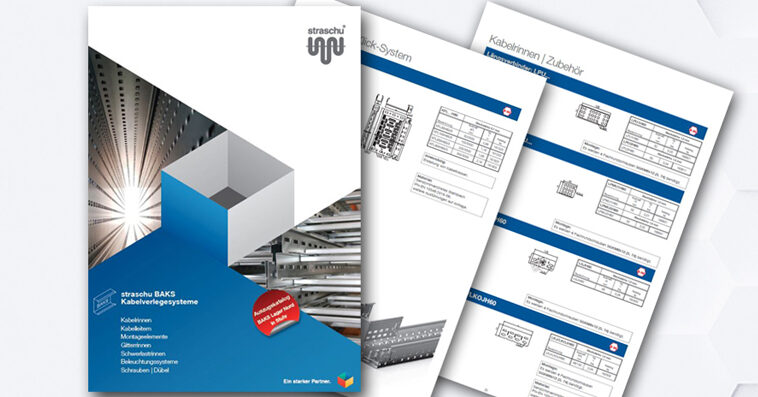 Ein Deckblatt und zwei Drucke eines Prospekts liegen vor einem hellen Hintergrund mit Wabenmuster.